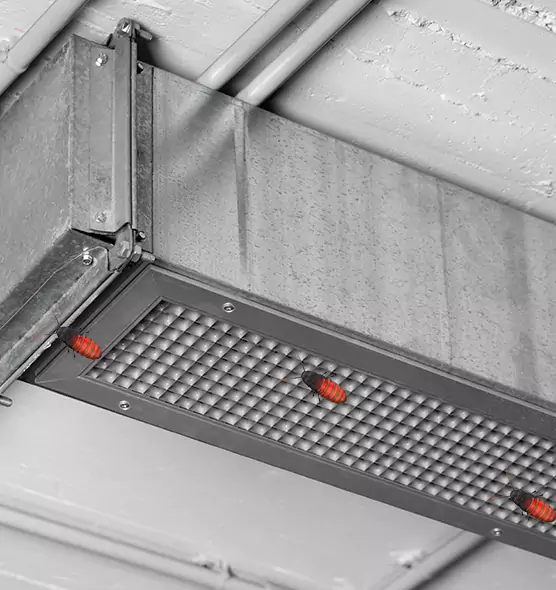 Affordable Insect Removal from Air Ducts in Wethersfield, CT