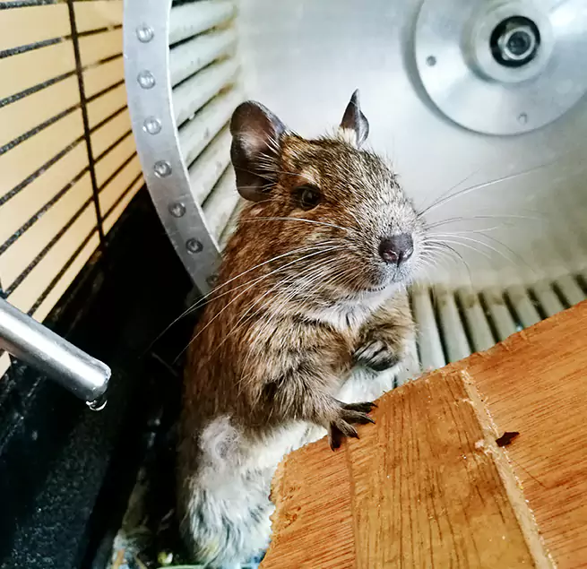 Why Homeowners & Businesses Trust Us Wethersfield, CT?